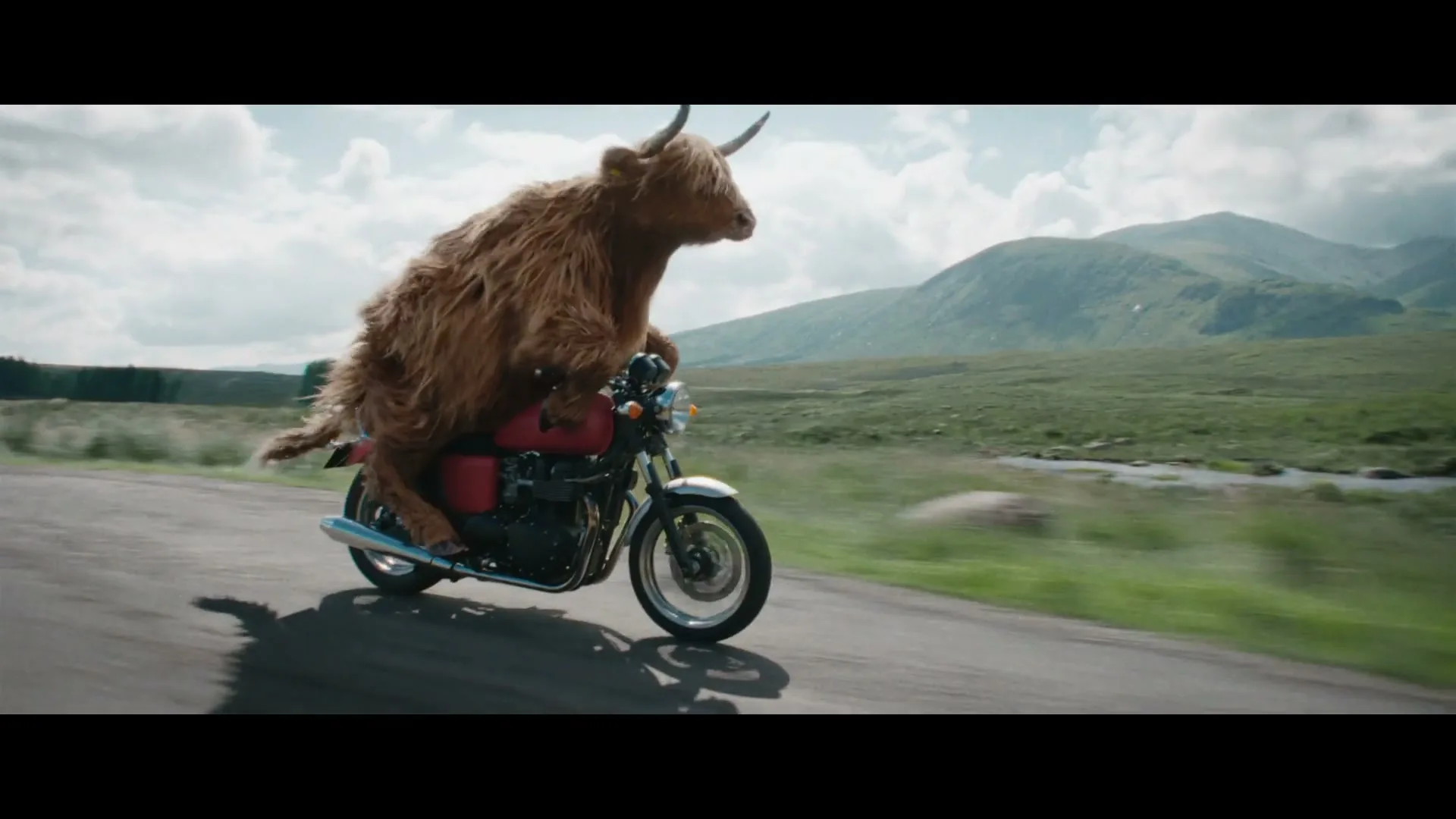 Virgin Media “Why Walk When You Can Ride”