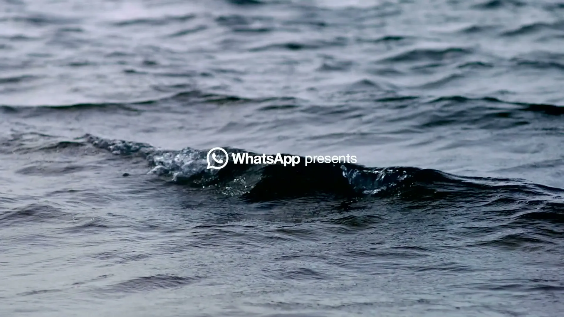 A small wave crests on a dark, choppy body of water, with "WhatsApp presents" text overlaid on the screen.