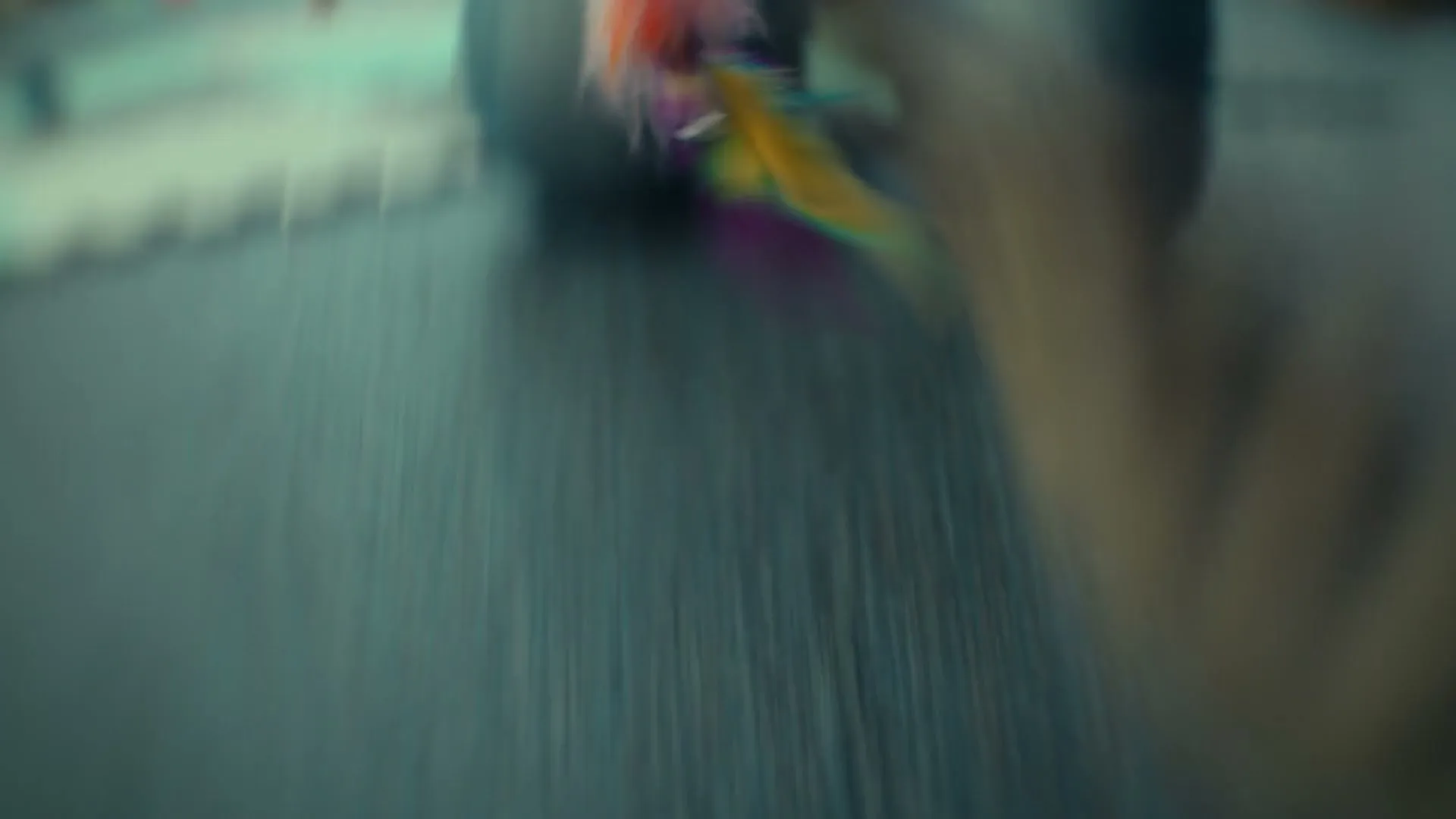 ASPCA “Through Their Eyes” (2024), frame 4