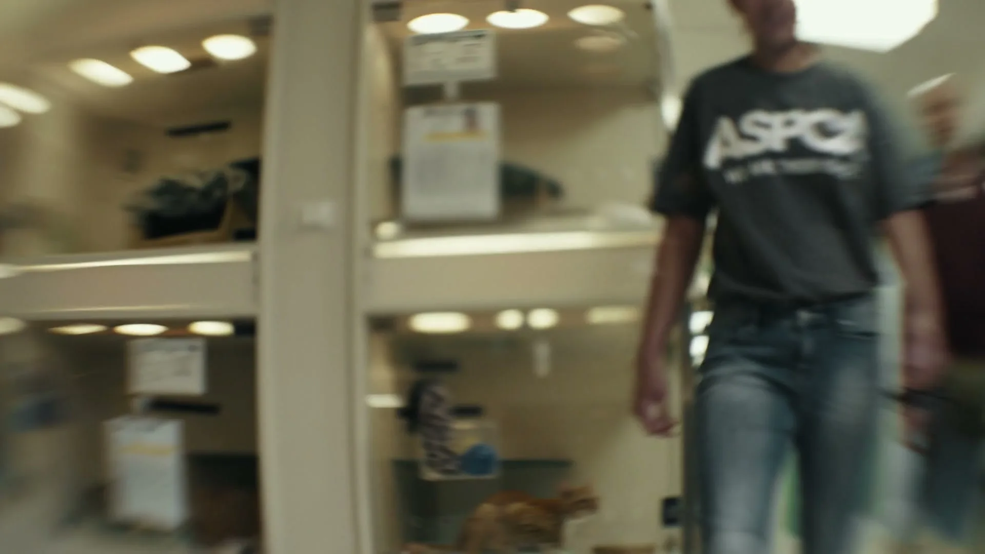 ASPCA “Through Their Eyes” (2024), frame 6