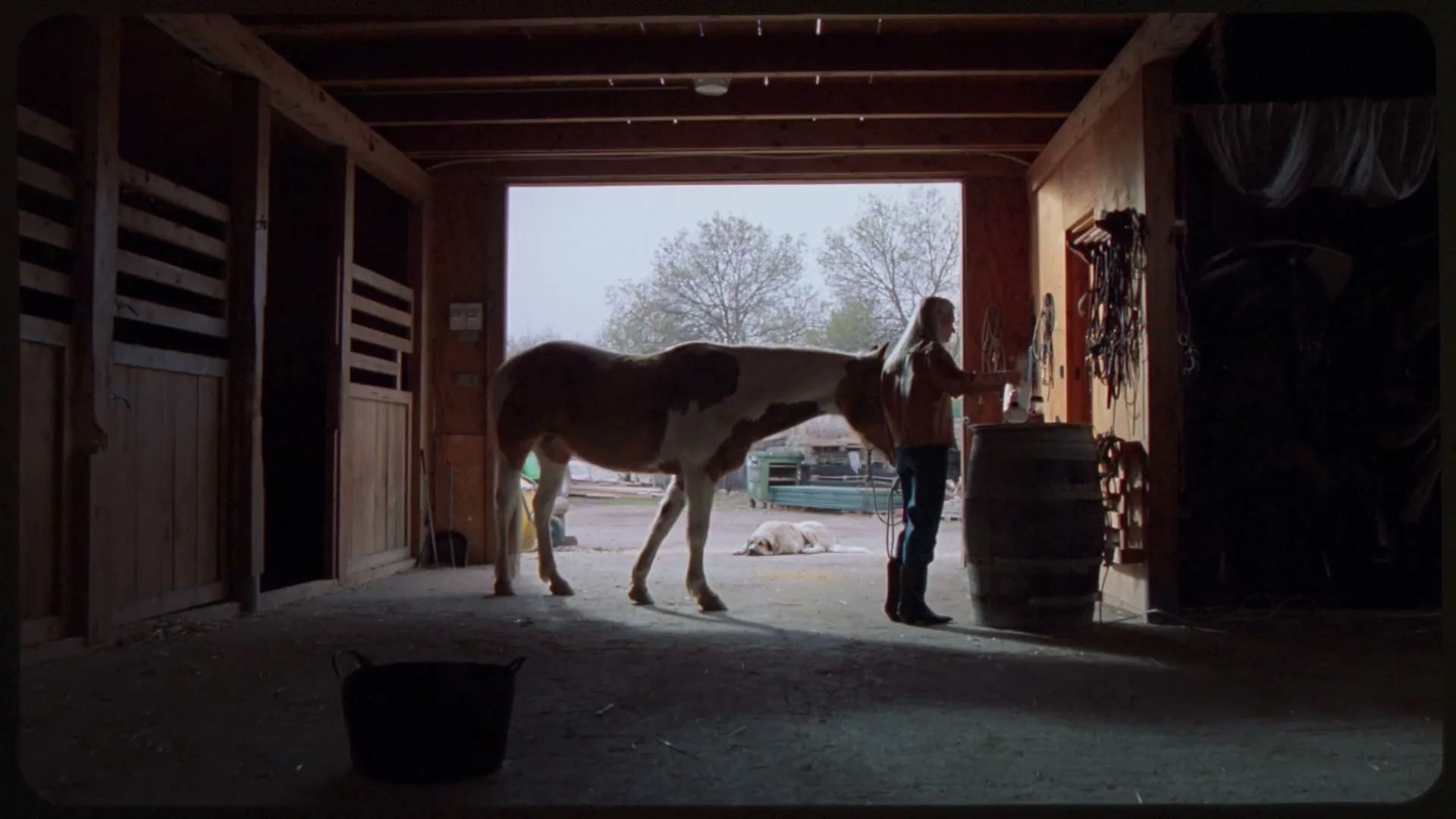 A young woman with long blonde hair stands next to a brown and white horse inside a barn, preparing something on a barrel.