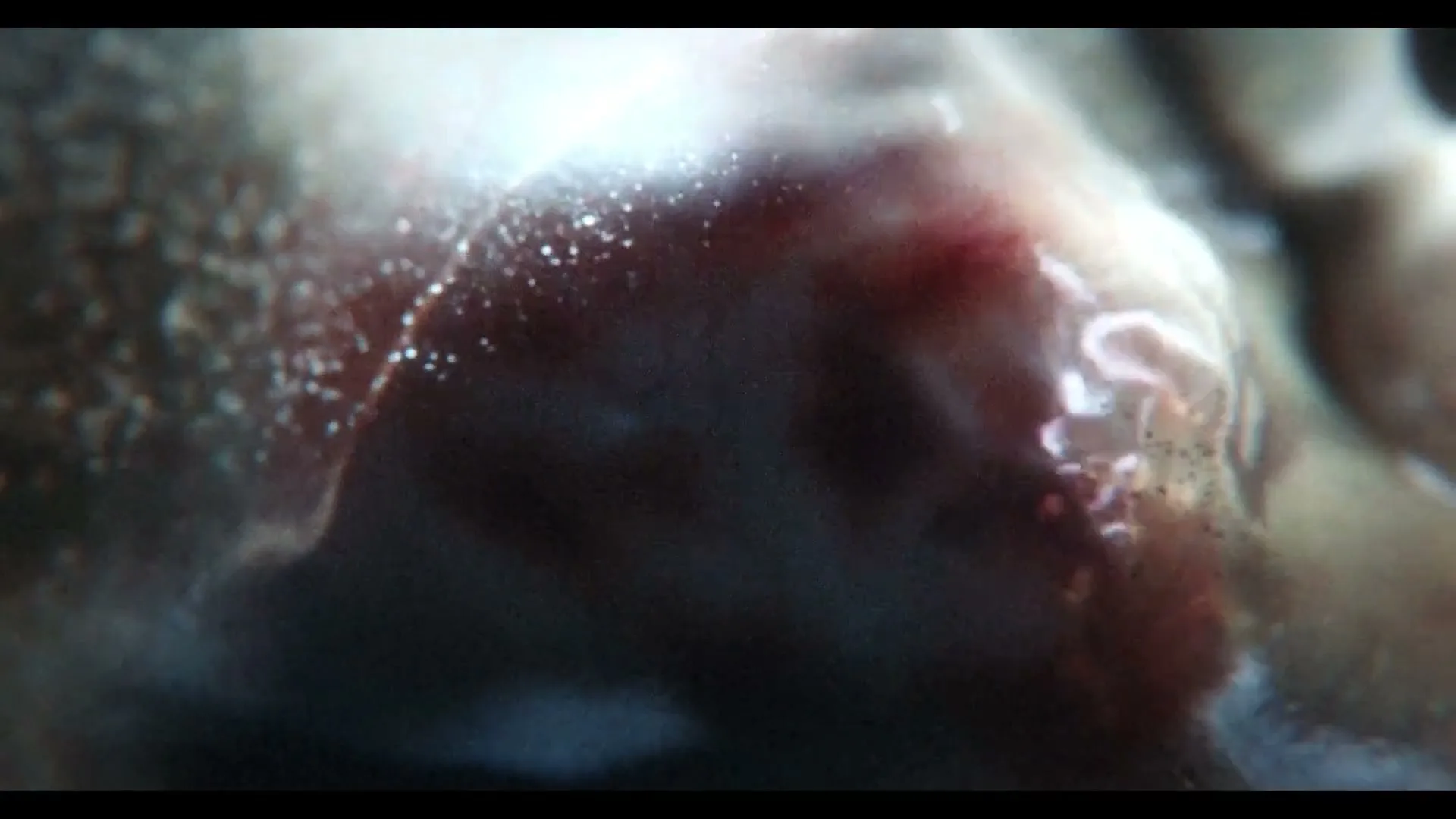 A macro shot of a fish's eye, with light reflecting off its scales, as it blinks underwater.