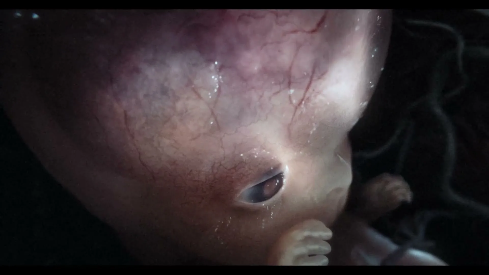 A detailed, close-up shot of a developing human fetus, with visible veins and translucent skin, in a dark, womb-like environment.