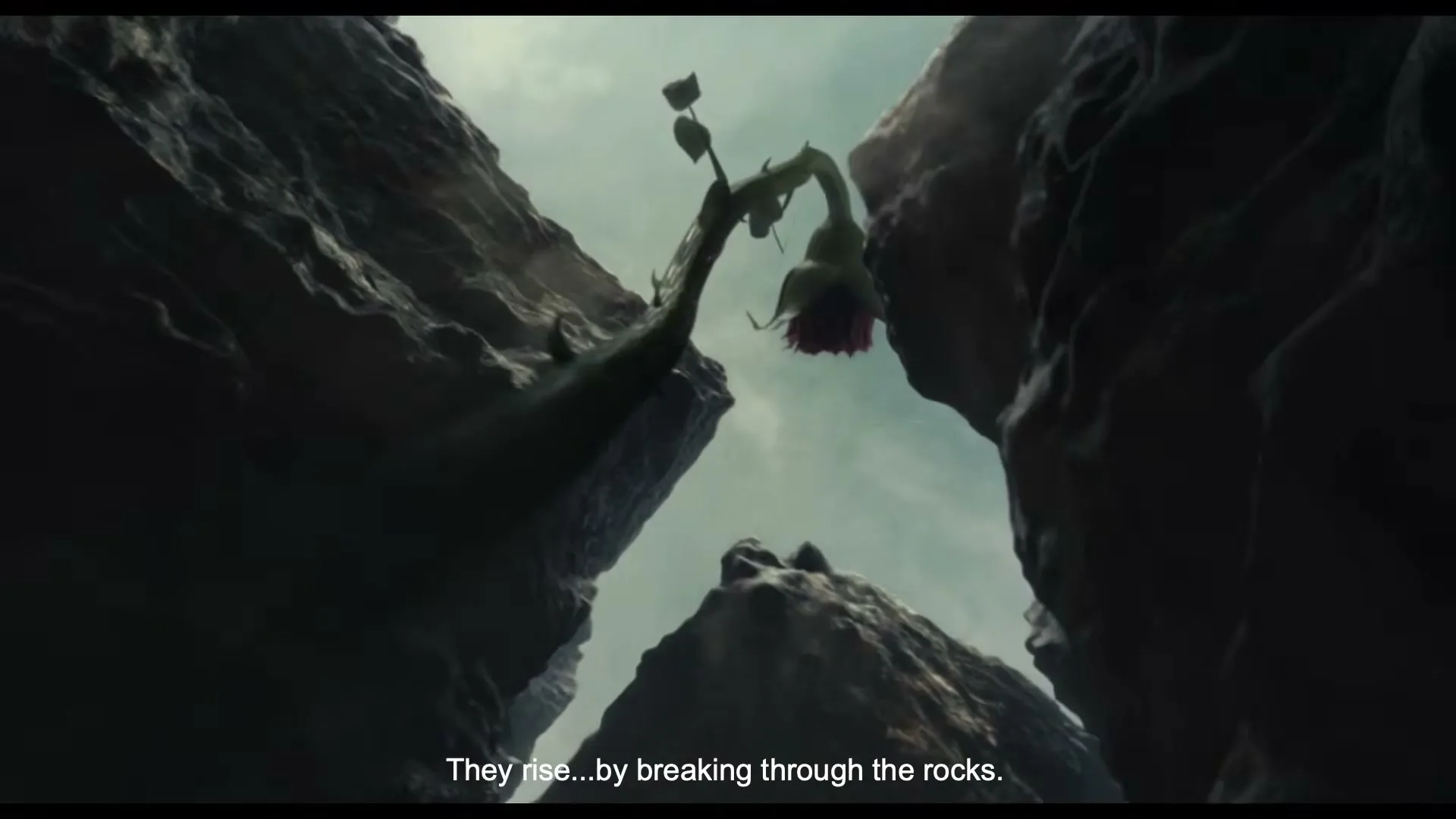 A CG stylized shot shows a green plant with a red flower growing between two large rocks, with a cloudy sky in the background.