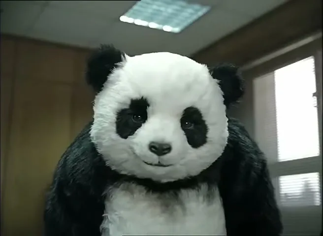 A person in a panda suit stands in an office, looking directly at the camera with a slight smile.