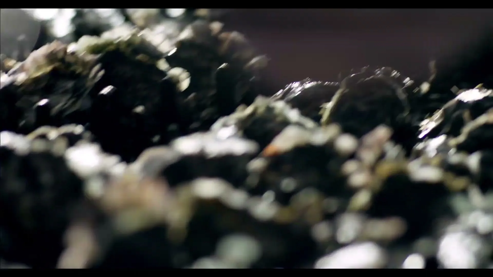 A hand reaches into a pile of wet, dark mussels, picking them up from a metal grate.