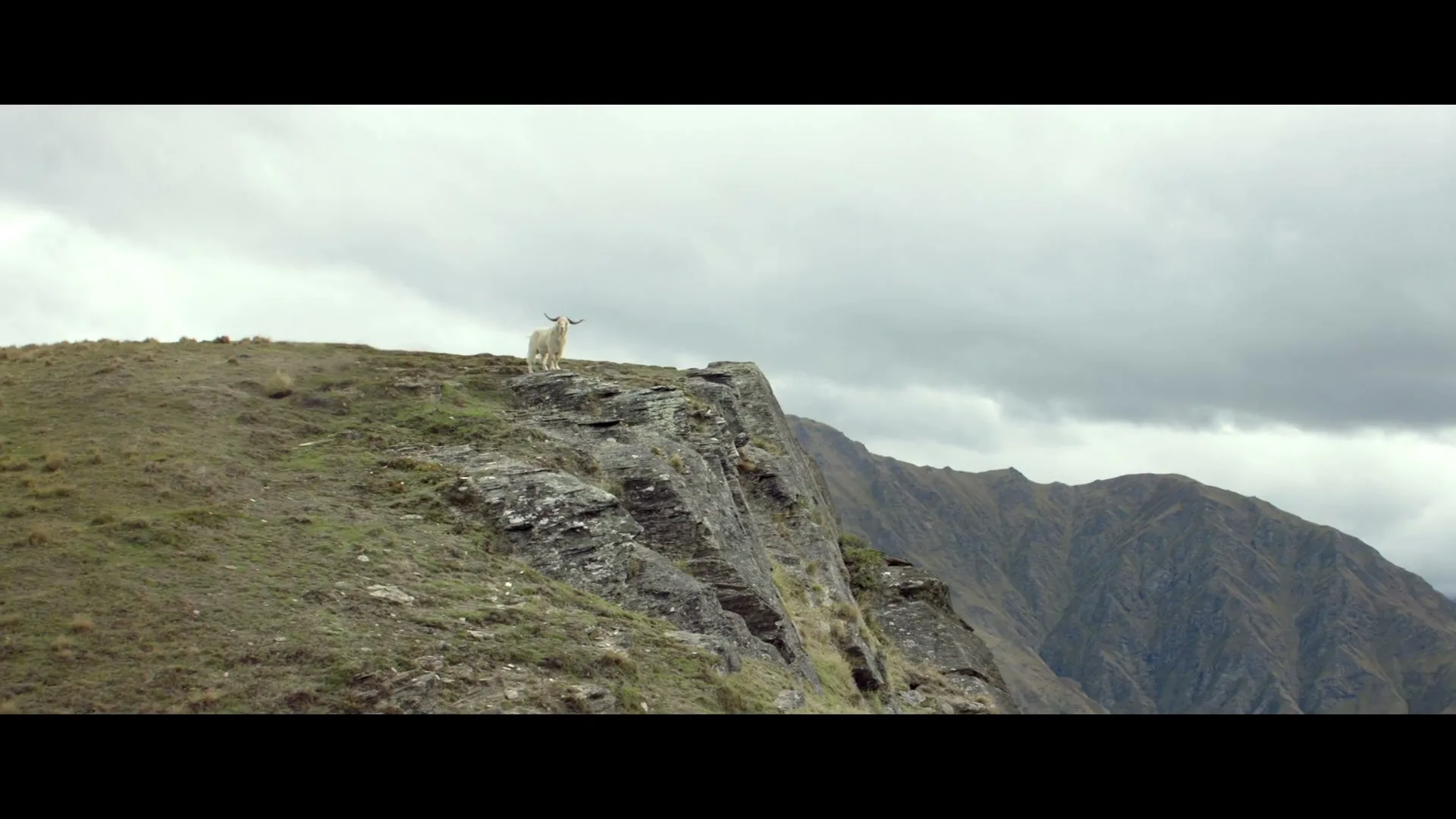 A white mountain goat stands majestically on a rocky cliff overlooking a vast mountain range under a cloudy sky.
