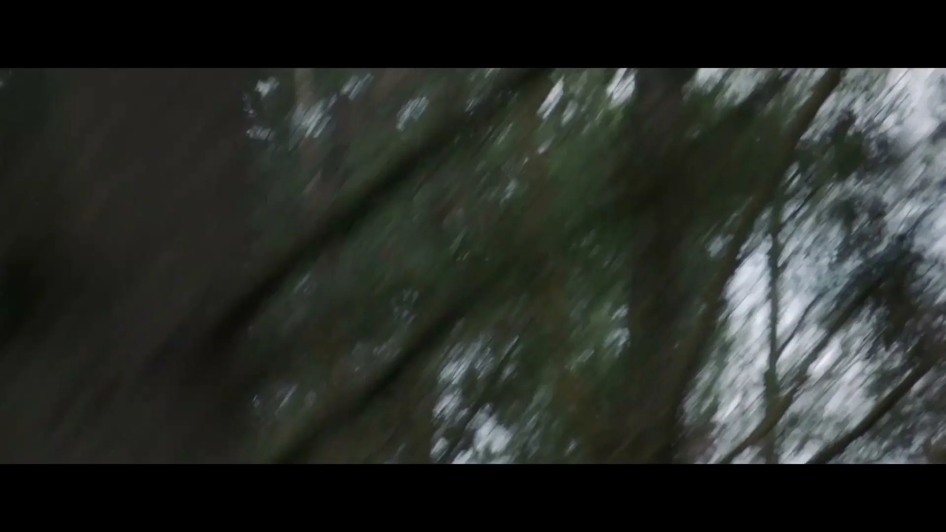A white pickup truck drives through a dense forest on a dirt road next to a body of water, captured from an overhead perspective.