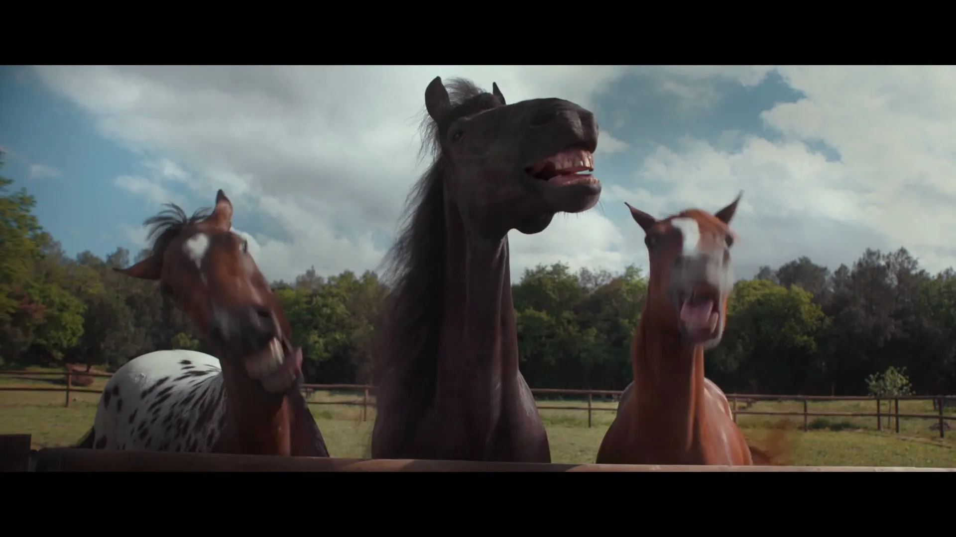 Three horses, one dark brown, one spotted, and one light brown, laugh with open mouths behind a wooden fence in a green field under a cloudy sky.