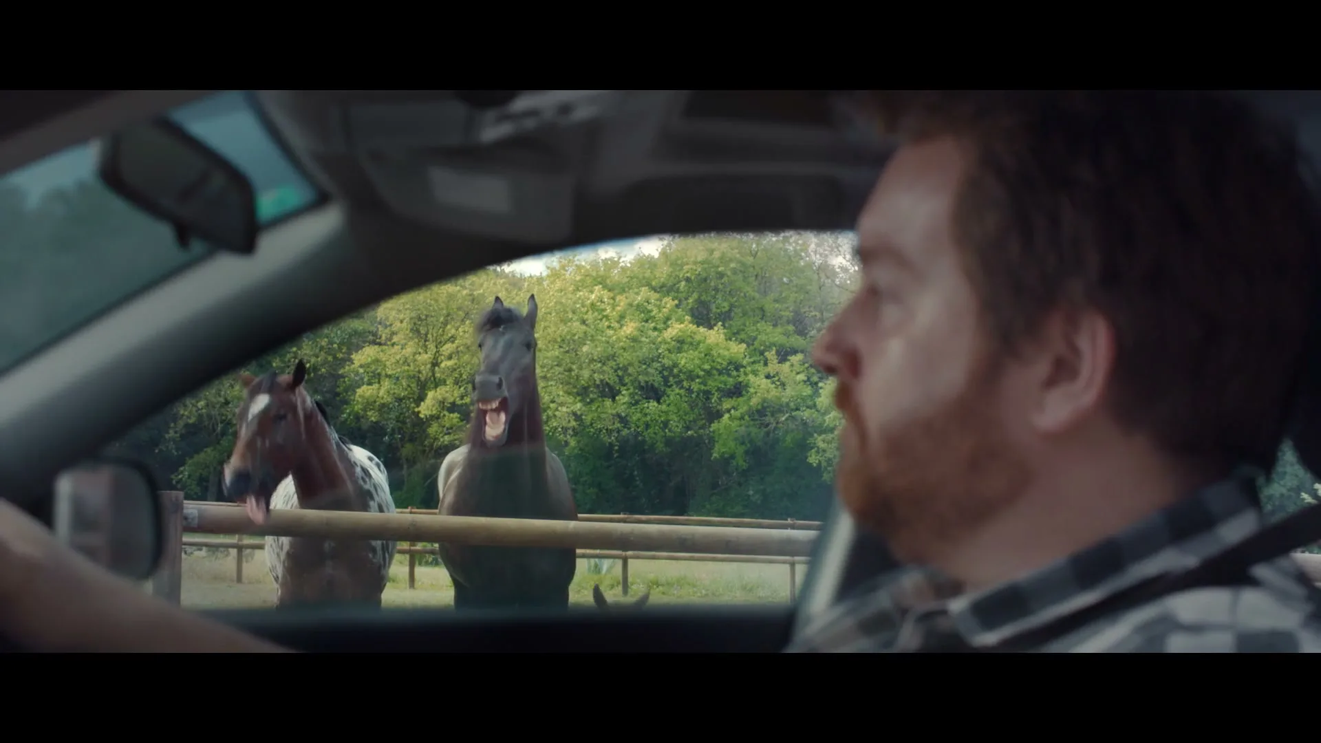 A man with a beard sits in a car, looking out the window at three horses in a field, one of which appears to be laughing.