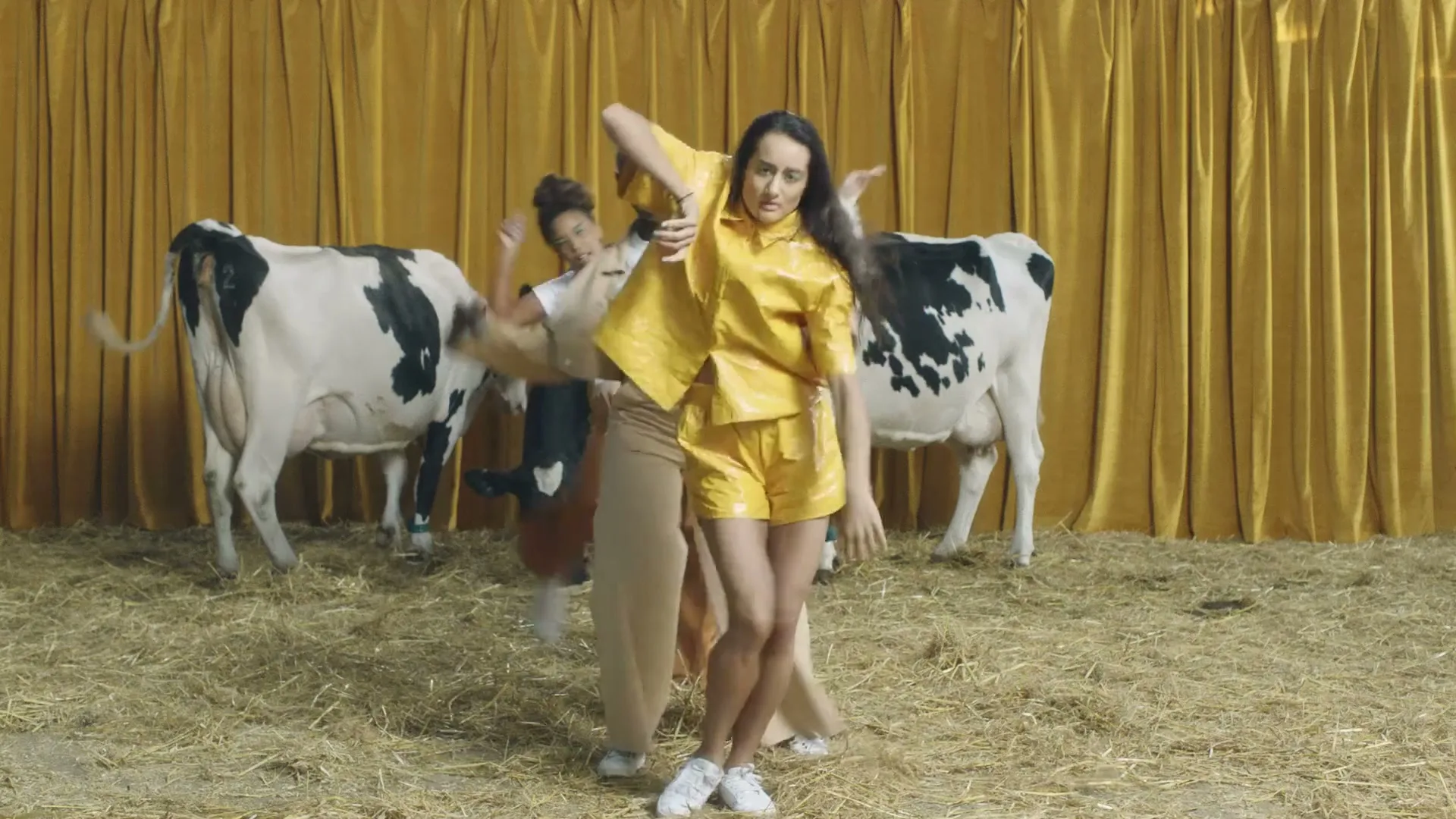 A diverse group of women in casual clothes dance energetically in a barn-like setting with hay on the ground and two cows standing behind them.