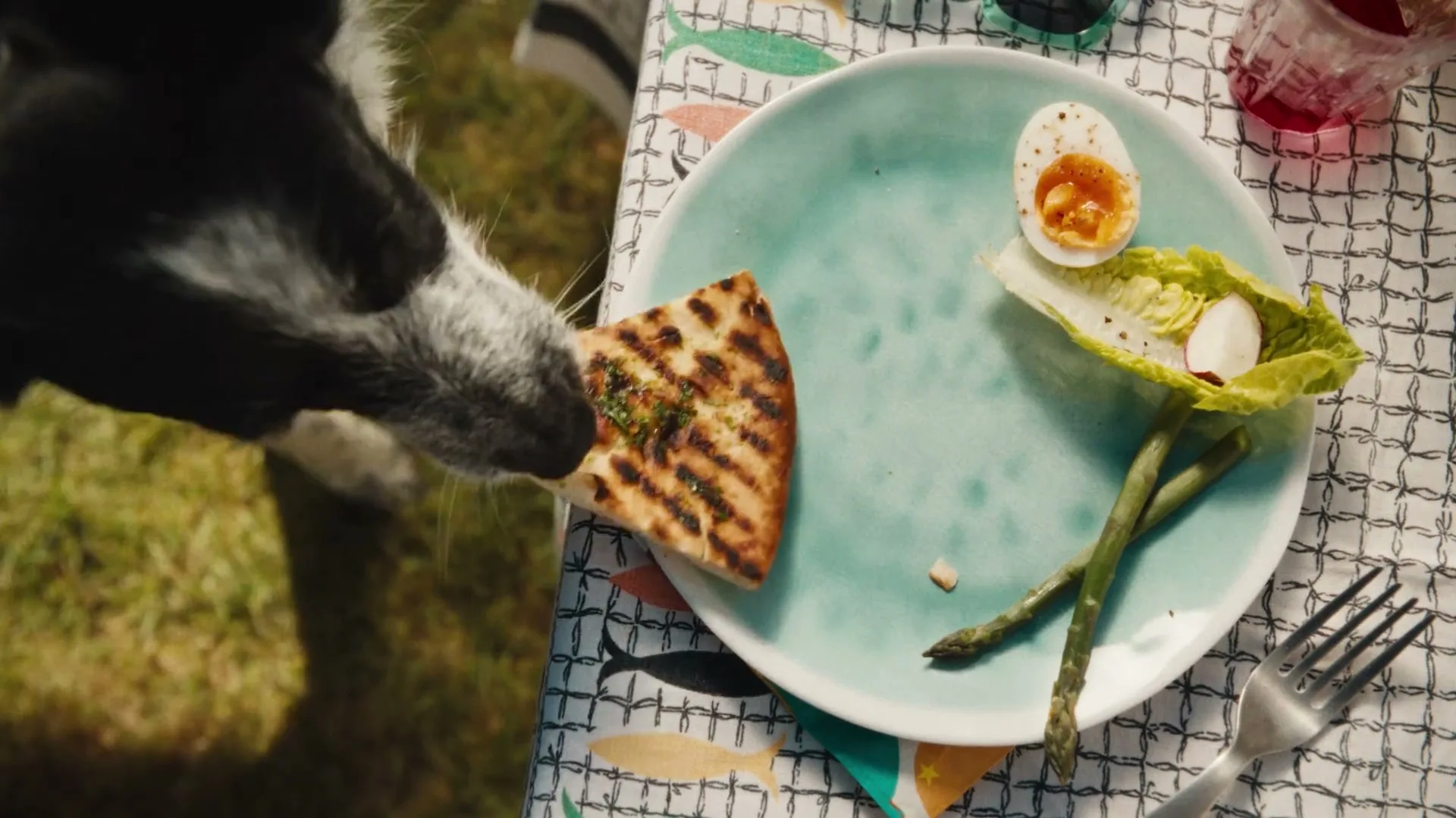 A black and white dog steals a piece of grilled flatbread from a plate with leftover salad and asparagus on a fish-patterned tablecloth outdoors.