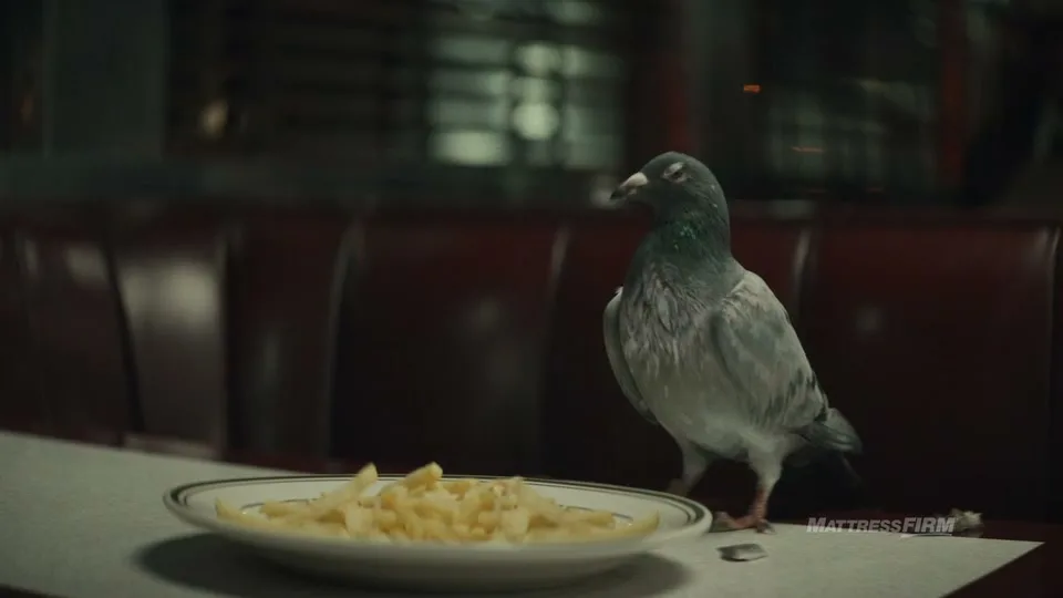 A pigeon stands on a diner table next to a plate of french fries, looking around the empty diner.