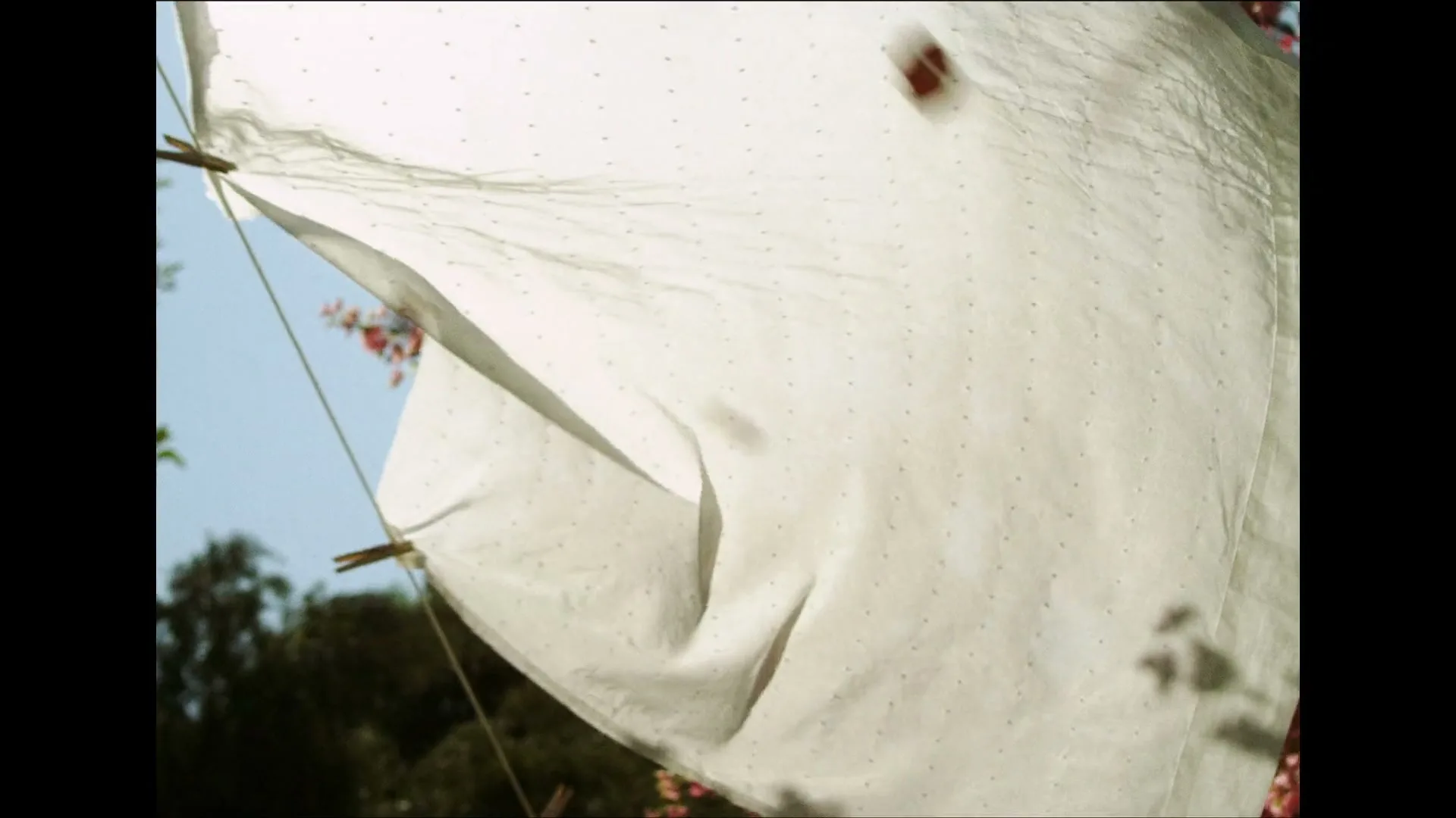 A white sheet with small holes hangs on a clothesline, blowing in the wind against a blue sky and green trees with pink flowers.