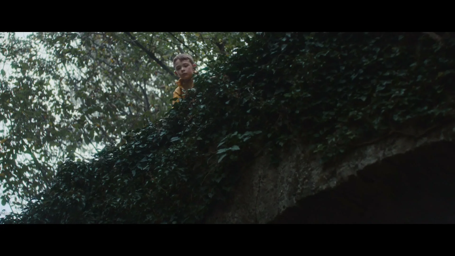A young boy in a yellow raincoat peeks over an ivy-covered stone wall, looking down with a curious expression in a natural, outdoor setting.