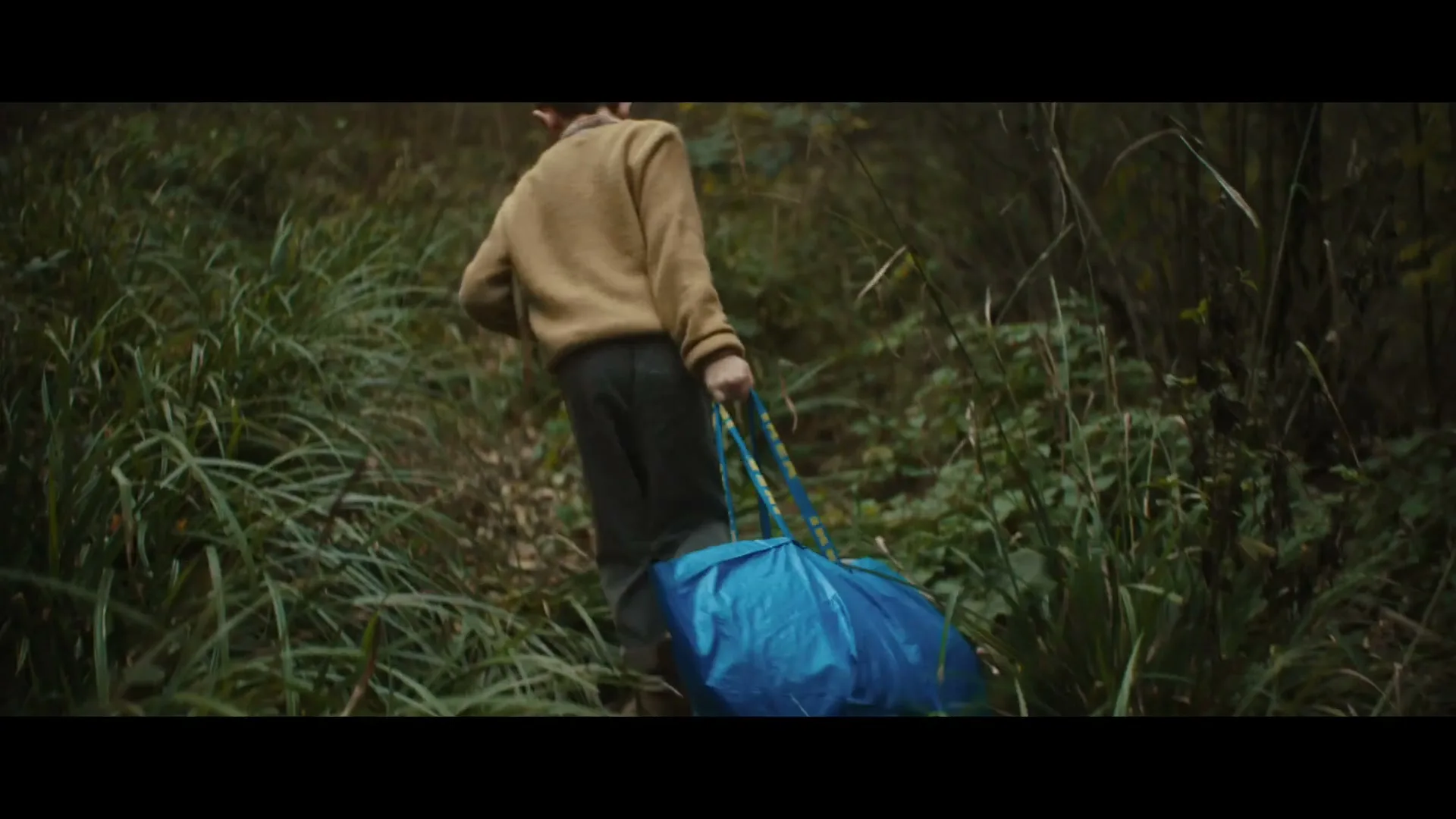 A young boy, seen from behind, walks through tall grass in a forest, carrying a large blue bag with blue and yellow straps.