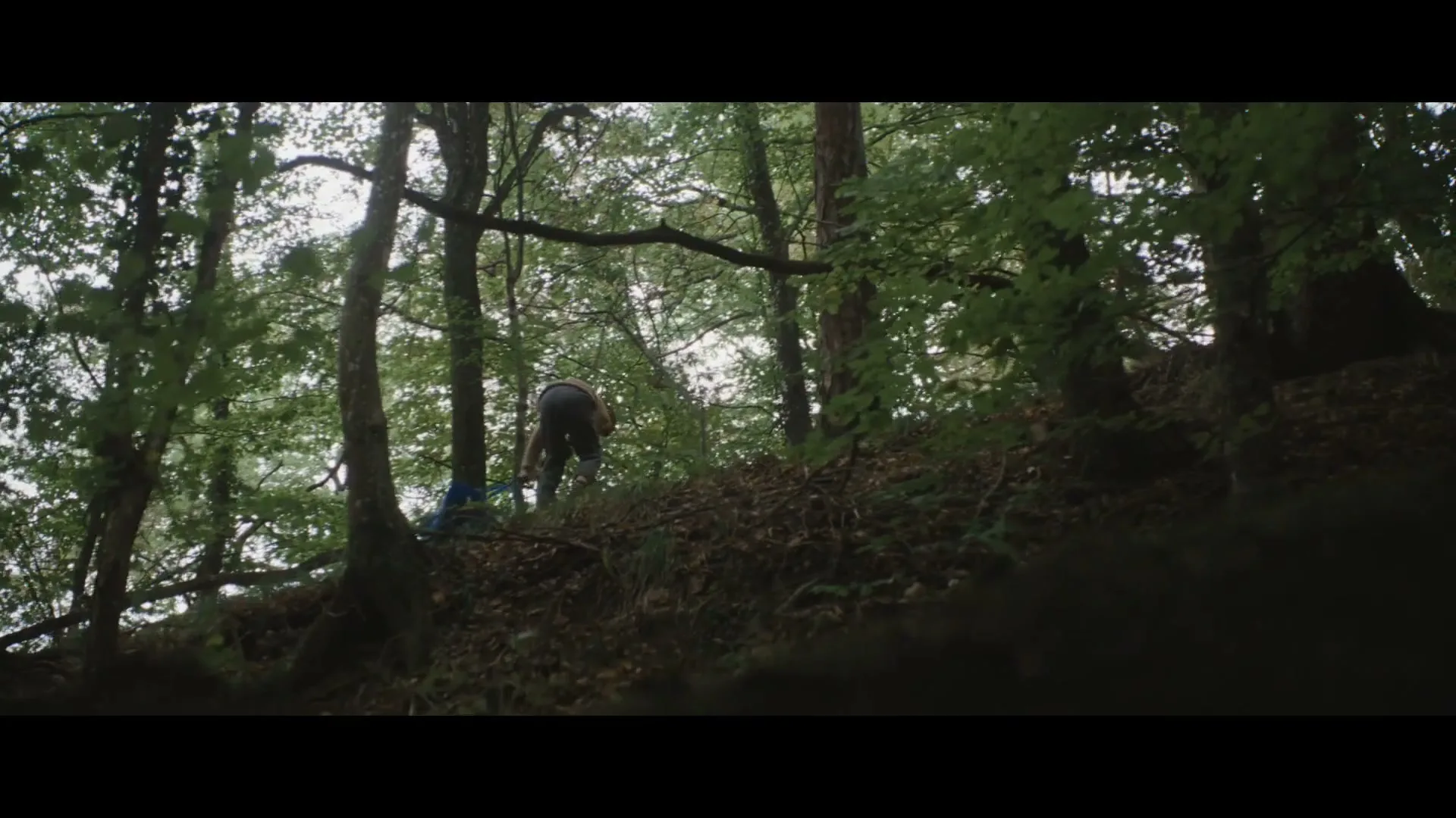 A man in a beige shirt and dark pants struggles to pull a blue tarp up a steep, wooded hill, surrounded by trees.