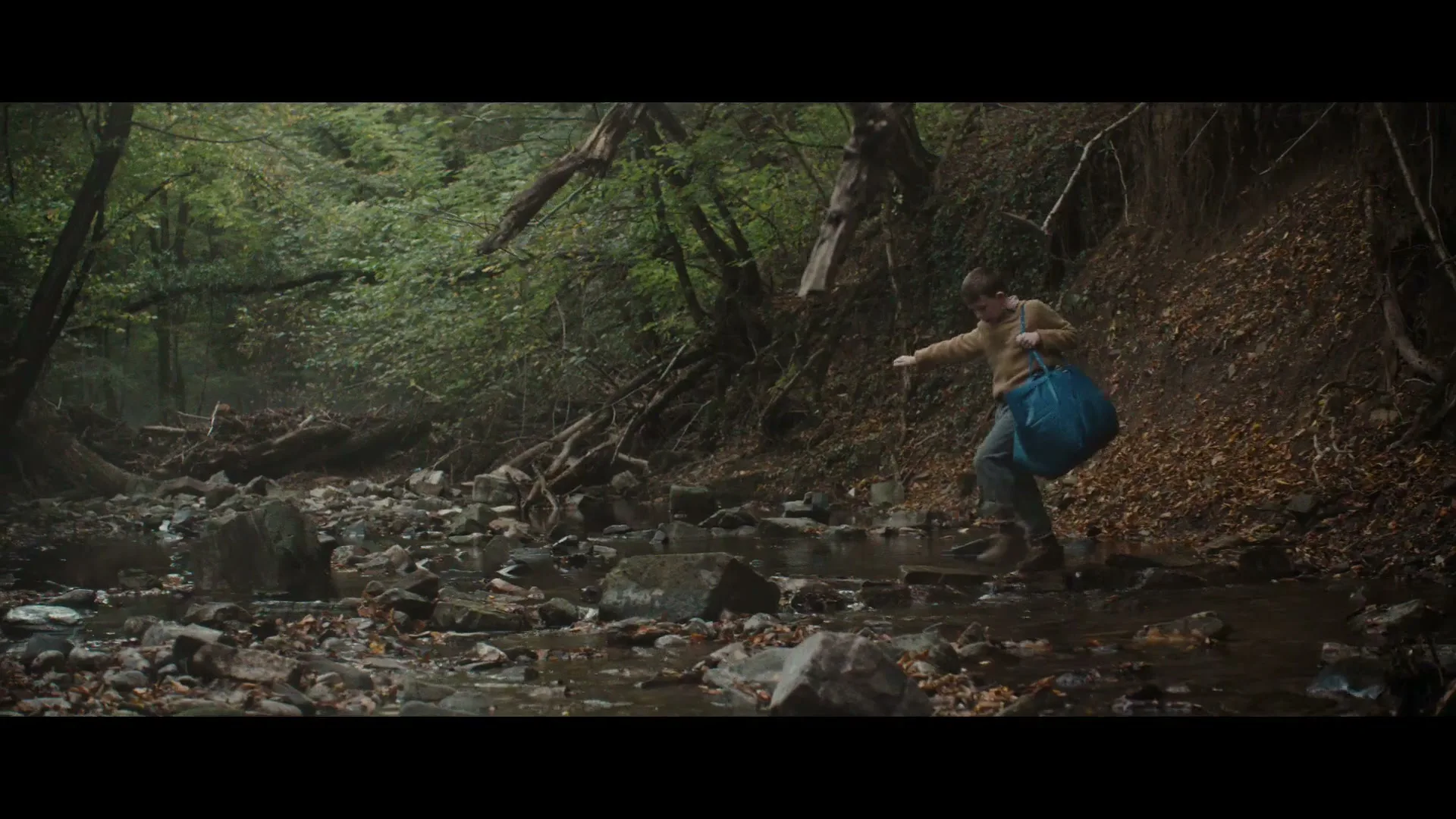 A young boy in a brown sweater and blue pants carefully steps across rocks in a shallow stream, carrying a large blue bag through a dense forest.