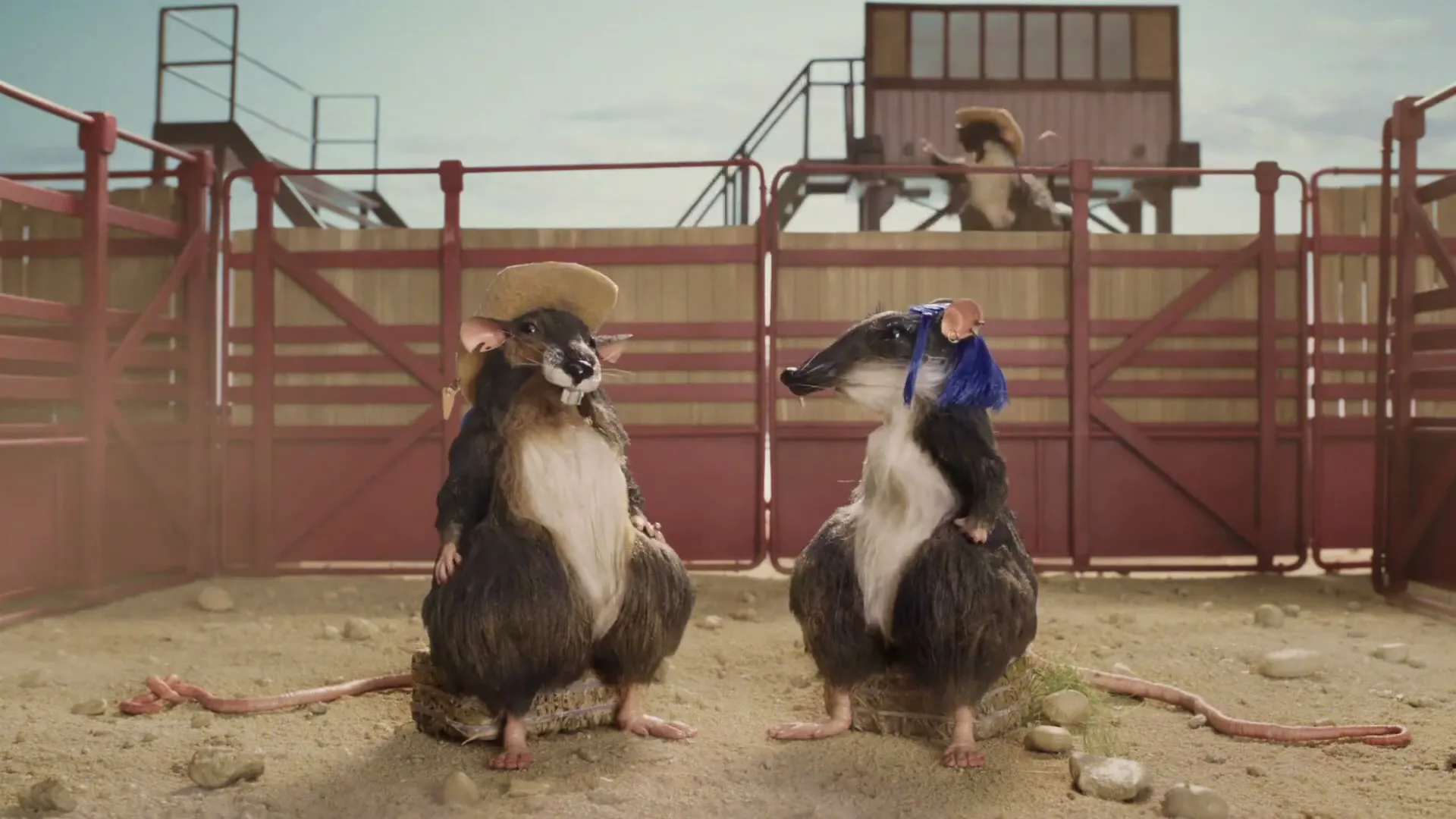 Telstra “Better on a Better Mobile Network - Deniliquin”, directed by Jeff Low