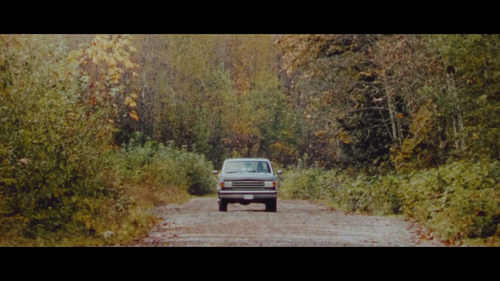 A dark-colored pickup truck drives slowly down a dirt road, surrounded by dense green and yellow autumn foliage in a forest.