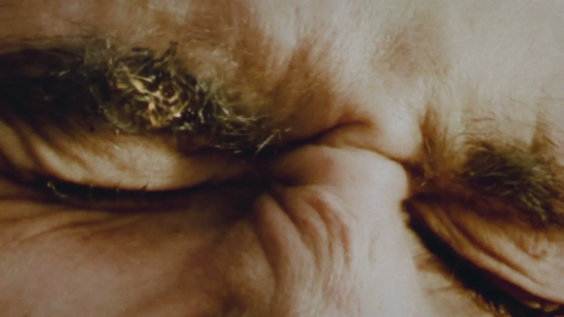 A very close-up shot of a person's closed eye and eyebrow, with some debris on the eyebrow, suggesting a rugged outdoor environment.