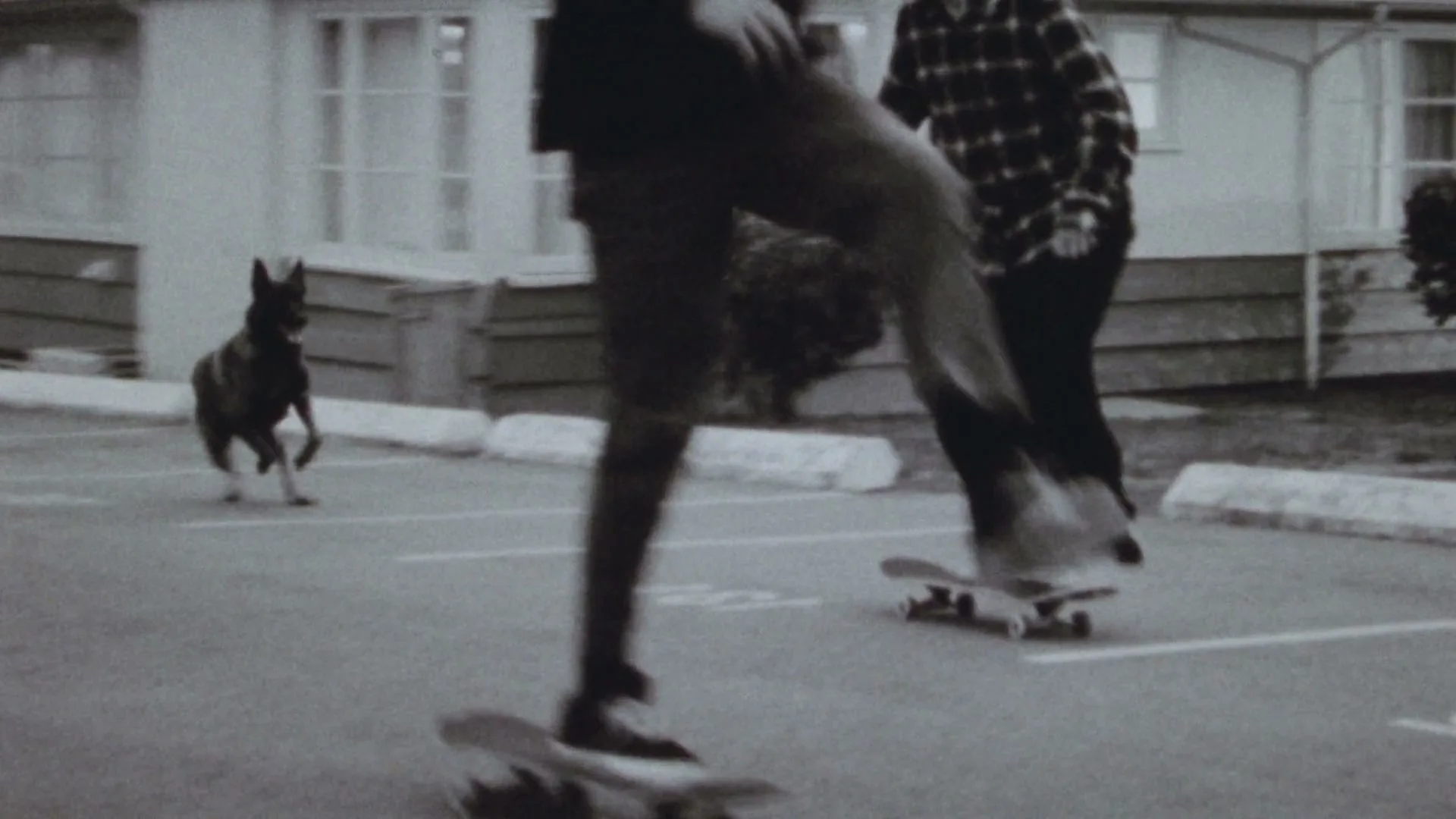 Three young men skateboard in a parking lot, with a dog running behind them, in a black and white shot.