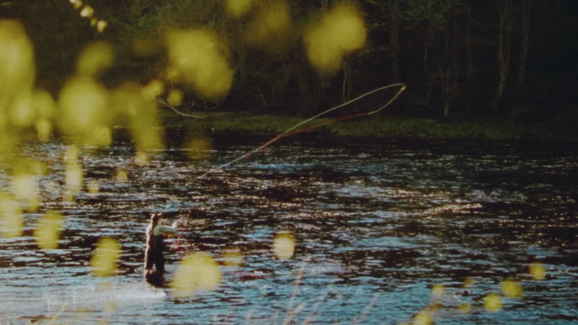A person in waders fly-fishes in a river, casting their line with trees in the background, seen through blurred foreground leaves.