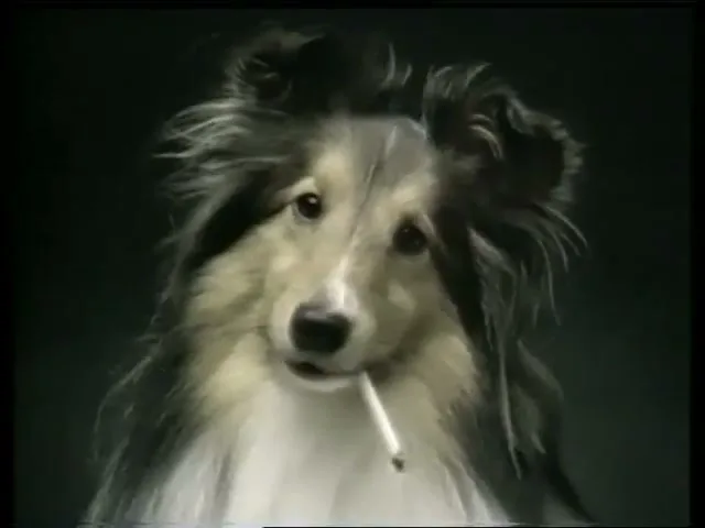 Minnesota Department Of Health “Animals”