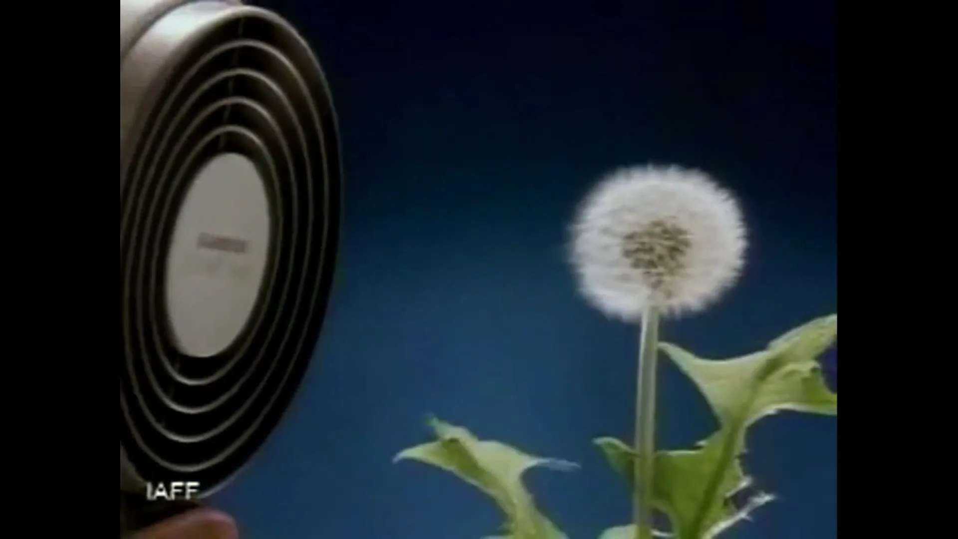 Kambrook "Diffuser Dryer" (1990) commercial still