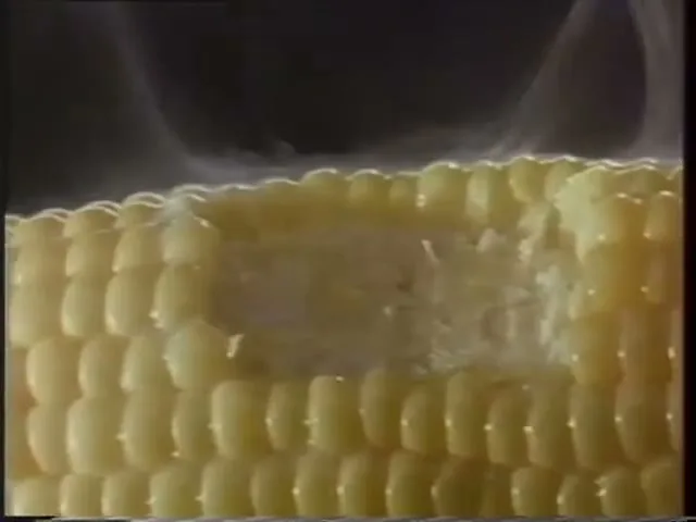 Bonna “Bites” 1993