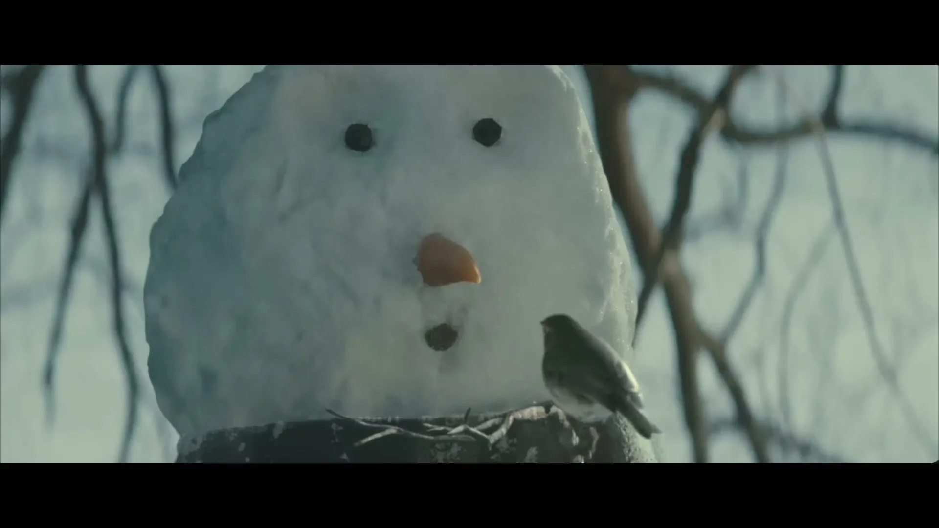 A small robin bird perches on a snowman's shoulder, looking at its face, in a snowy outdoor setting.