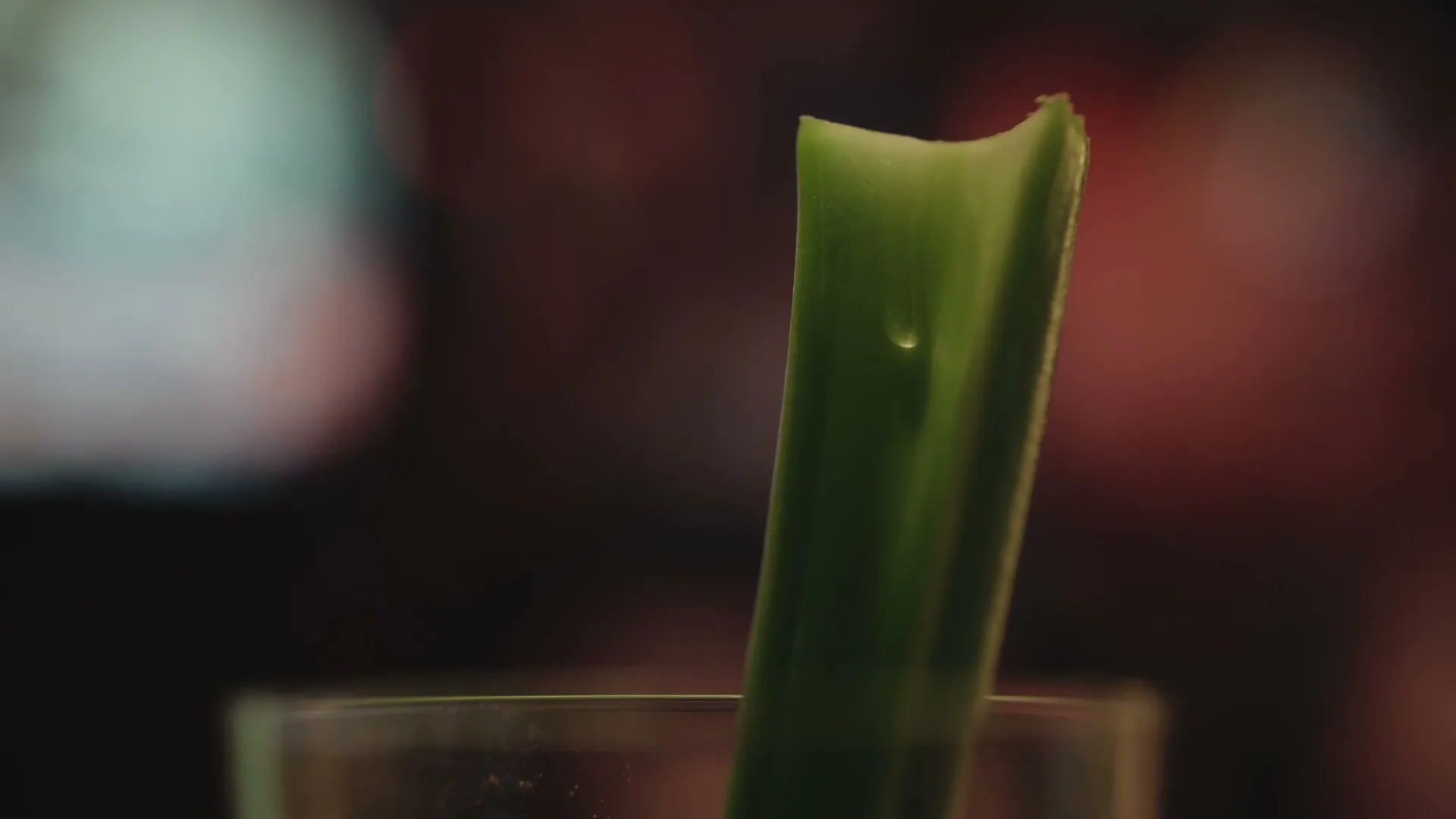A single, green celery stick stands upright in a glass, with a small water droplet visible on its surface, in a dimly lit interior.