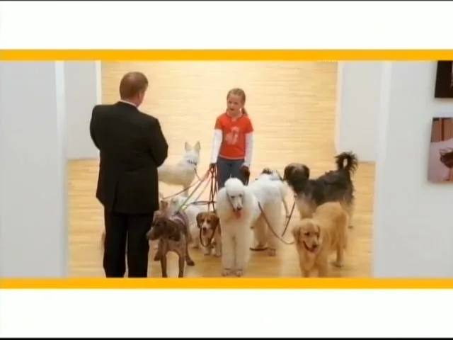 A man in a suit points to a young girl holding leashes for many dogs in a bright art gallery.