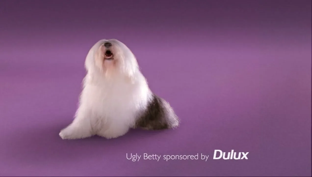 A fluffy Old English Sheepdog sits on a purple background, looking up and barking, with text at the bottom of the screen.