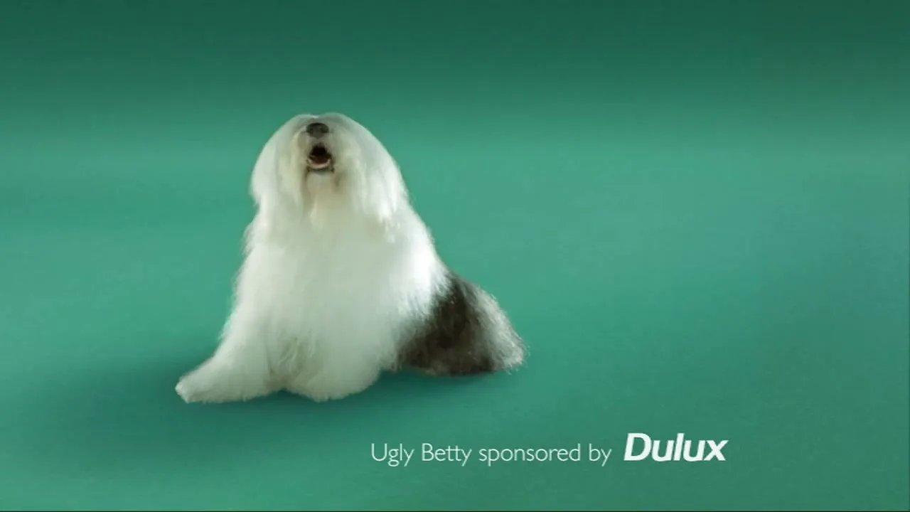 A fluffy white and grey Old English Sheepdog sits on a teal background, looking up and barking, with text at the bottom of the screen.