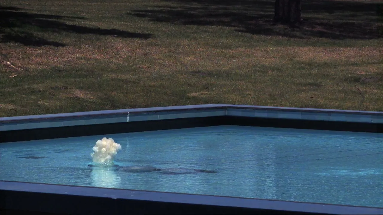 A small fountain of white foam bubbles in a blue pool, with green grass and trees in the background on a sunny day.