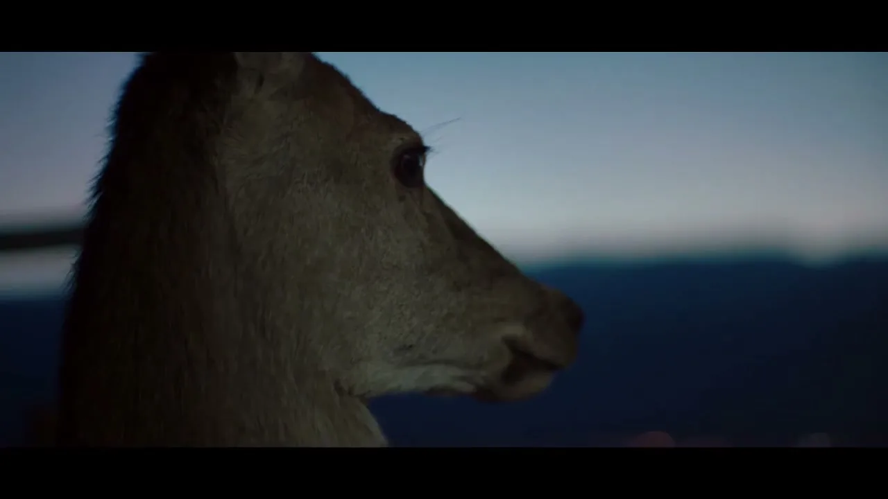 A deer stands in profile, looking out over a dark landscape under a twilight sky, with subtle light on its fur.