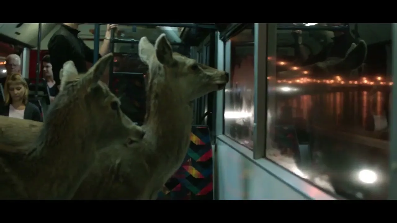 Two taxidermied deer stand on a moving bus at night, looking out the window at city lights reflecting on water.