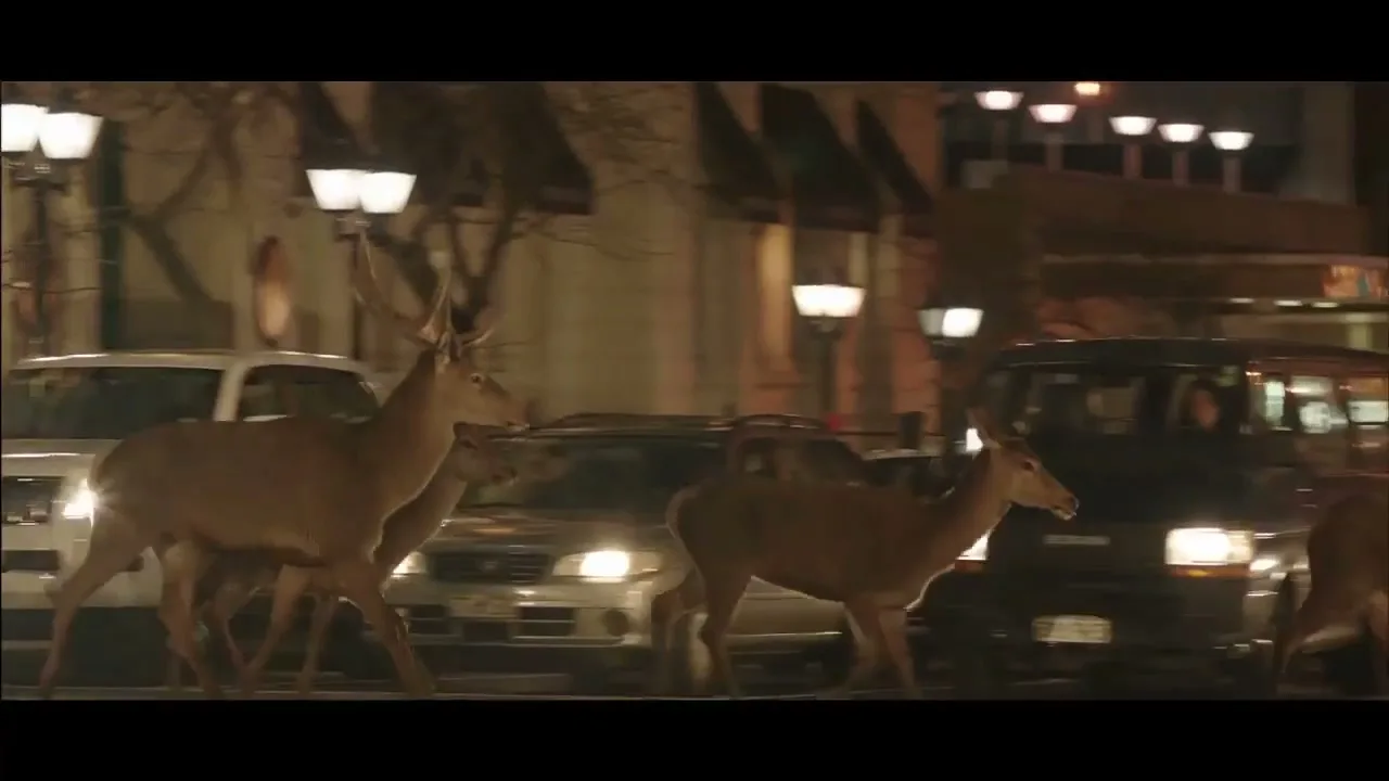 A herd of deer, including a stag with large antlers, walks across a busy city street at night, with cars and streetlights visible in the background.