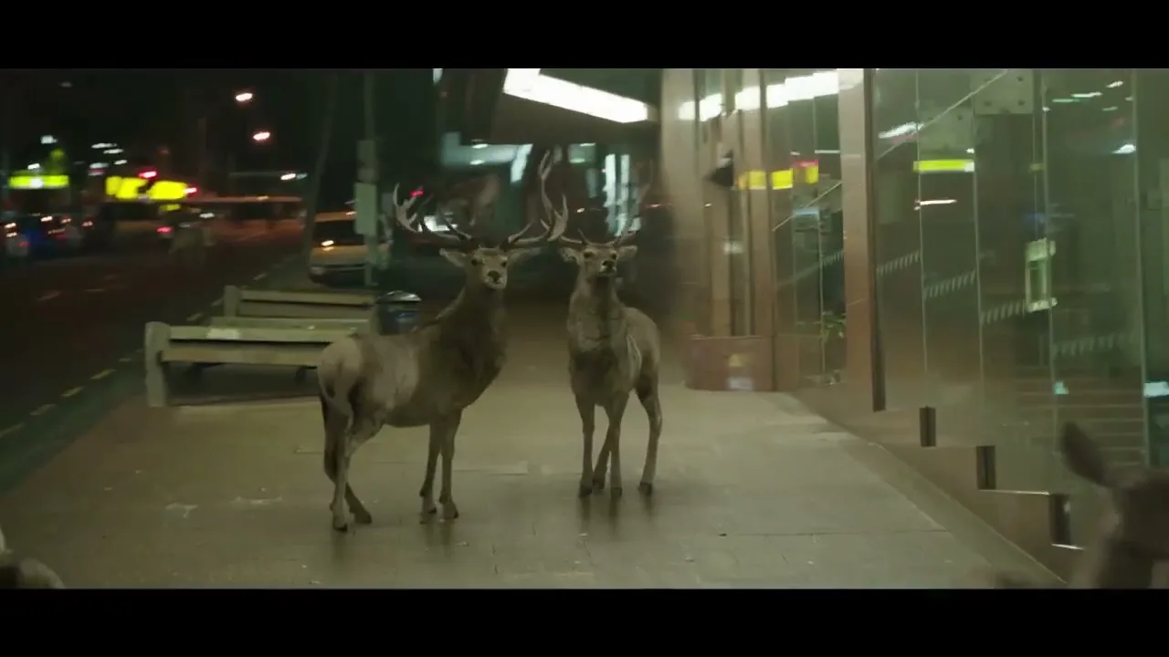 A group of deer with large antlers stand on a city sidewalk at night, looking towards the camera as cars pass by on the street.