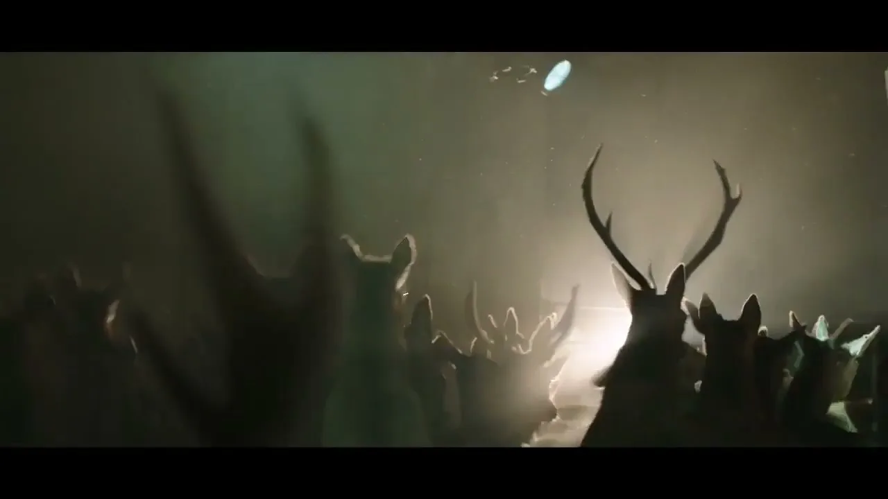 A herd of deer, silhouetted by a bright light, stands in a dark, misty forest at night, looking towards the light.