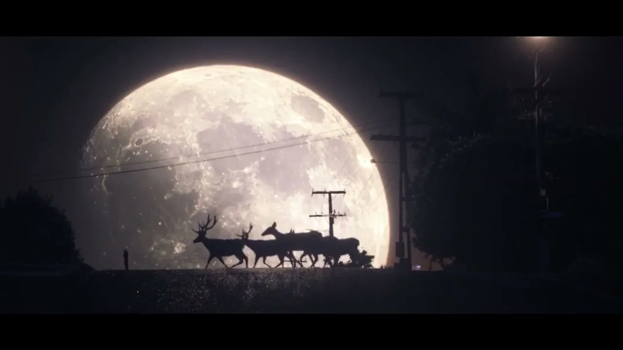 A herd of deer, silhouetted against a giant full moon, walk across a dark, rural road at night.