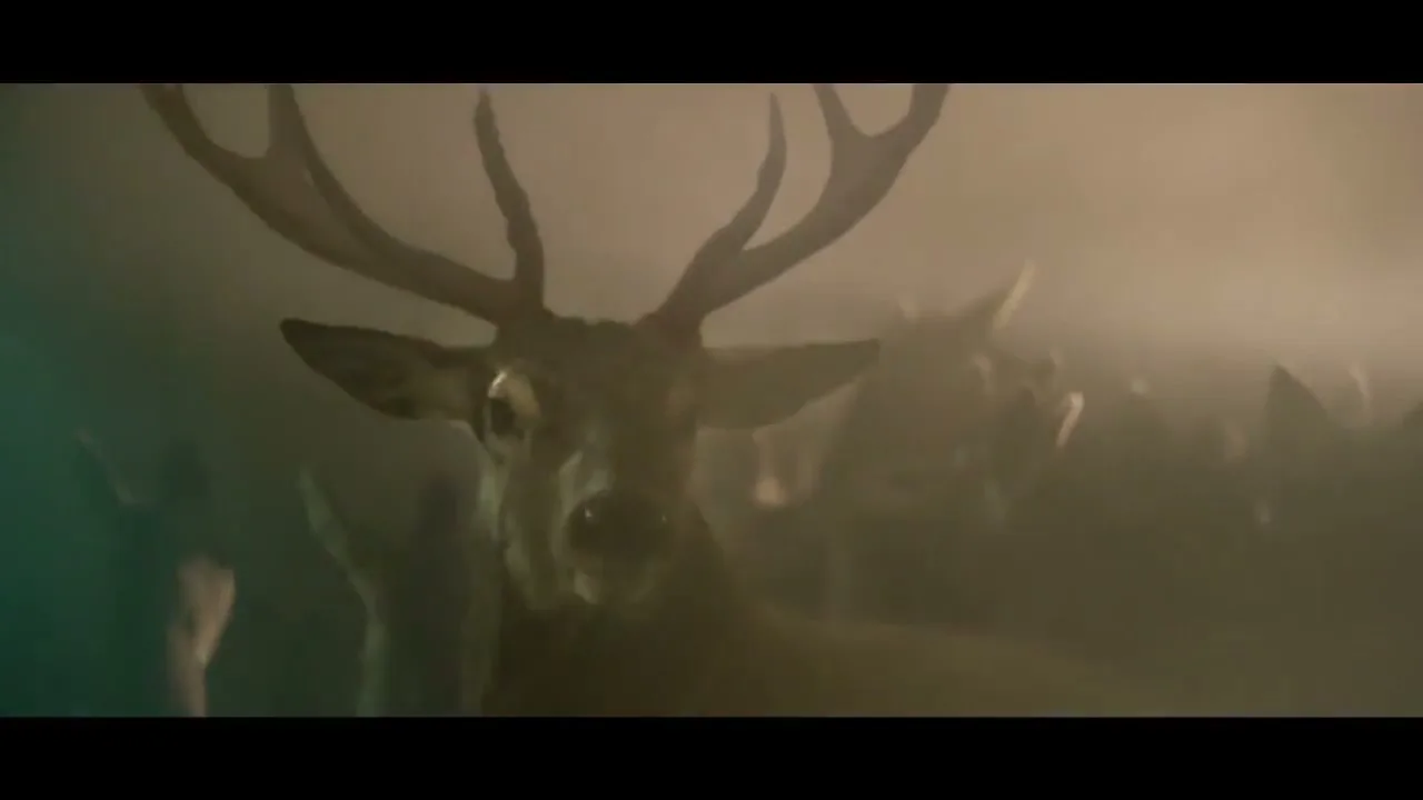 A large stag with antlers looks directly at the camera, surrounded by other deer in a smoky, dimly lit environment.