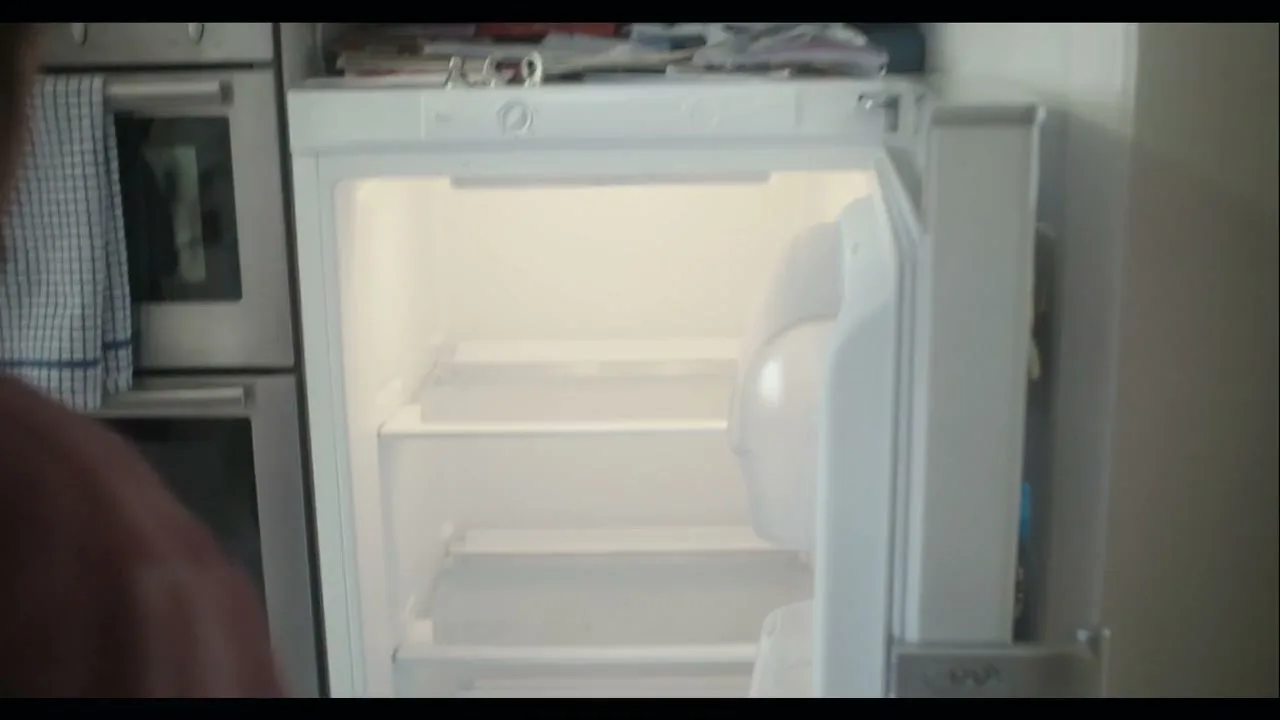 Hertz “Cleaned Out” (2015), frame 5