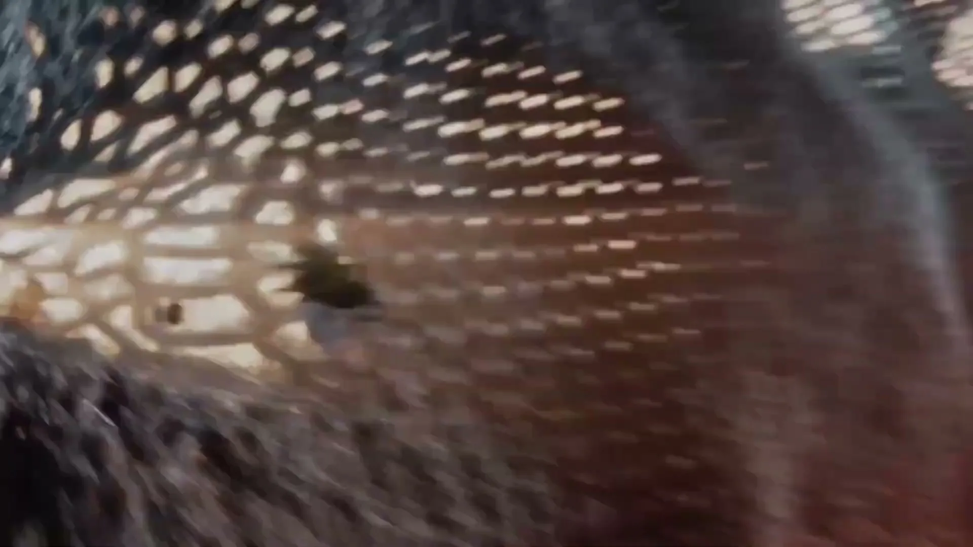 A macro shot of a dark, textured surface with many small, bright, glowing dots, resembling a woven fabric or a porous material, with a hint of light behind it.