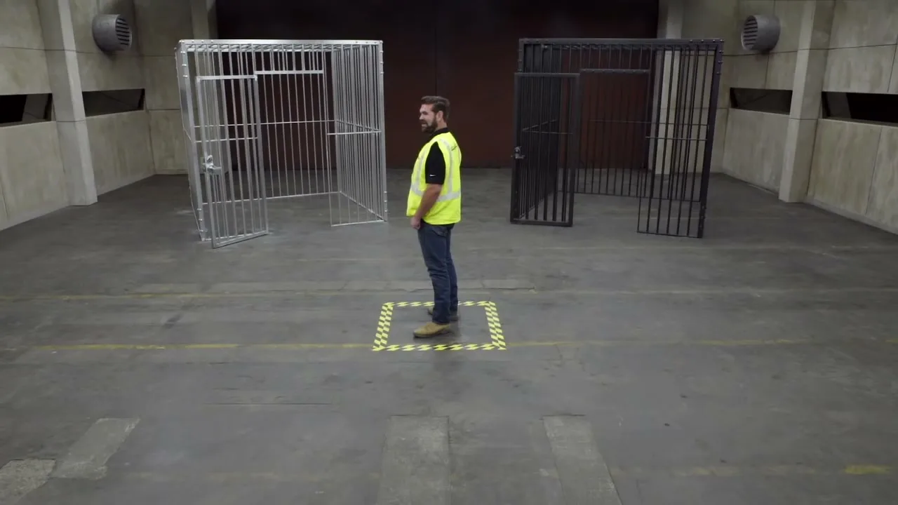 Chevrolet “Cages” (2016), frame 5