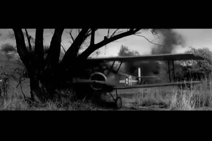 A vintage biplane crashes into a tree, with smoke billowing from the wreckage in a dramatic, black and white scene.