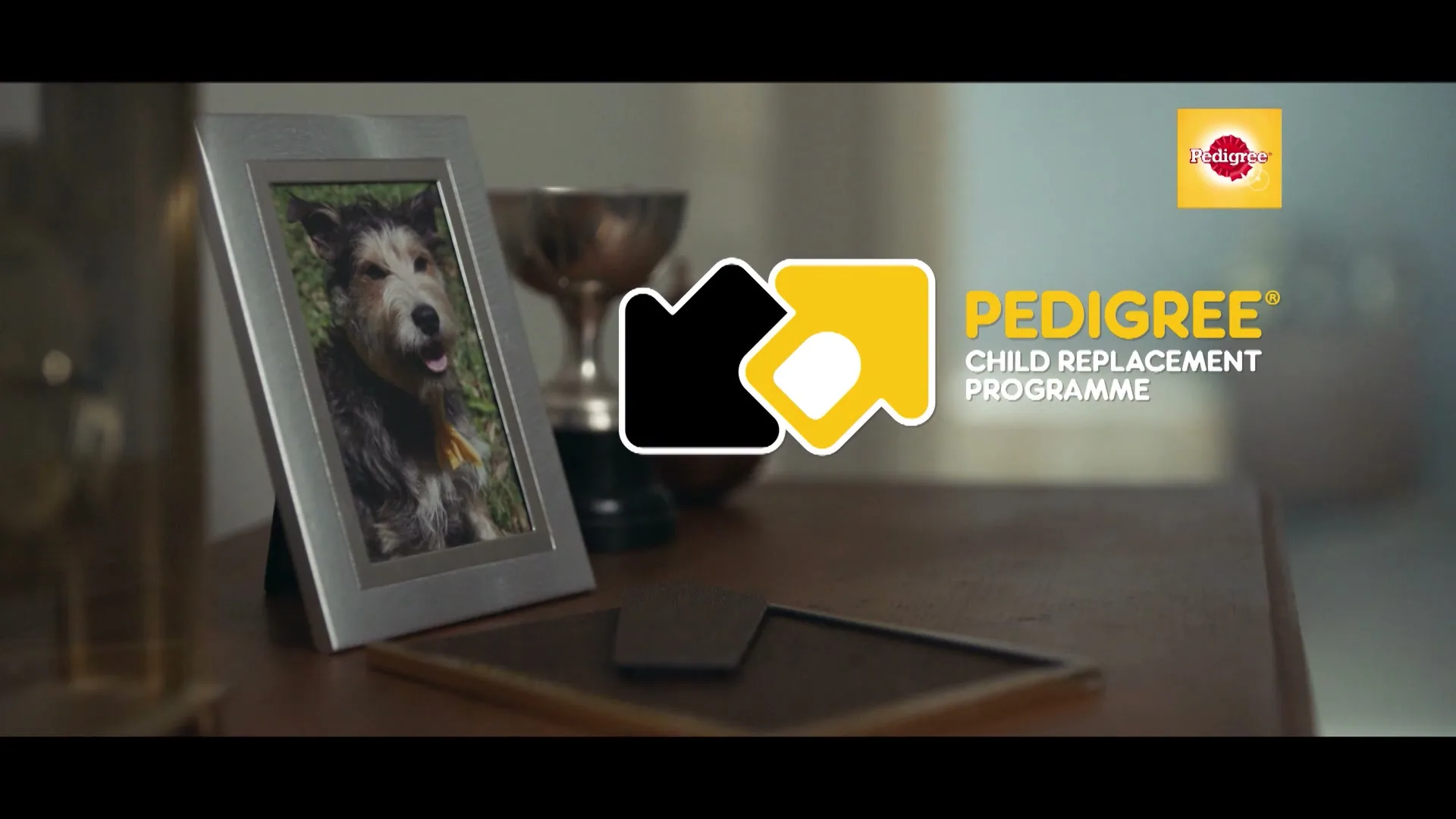A framed photo of a smiling young man is replaced by a framed photo of a dog on a wooden table, with the Pedigree logo and text appearing on screen.