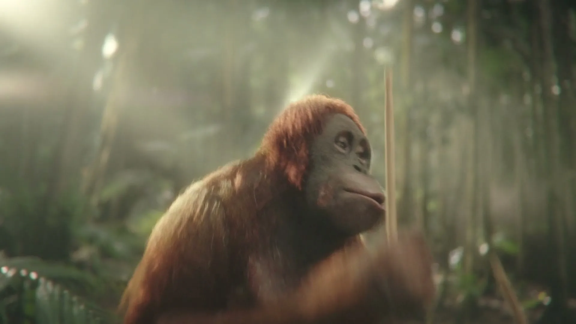 Darrell Lea “Palm Oil Free” (2021), frame 3