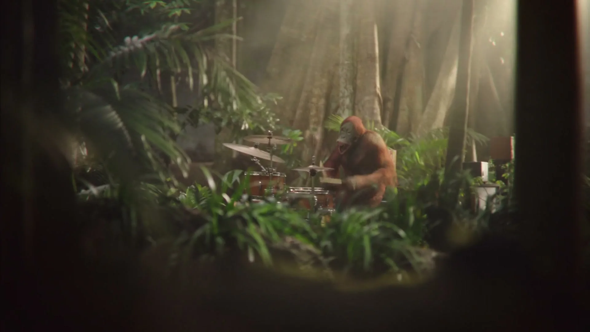 Darrell Lea “Palm Oil Free” (2021), frame 4